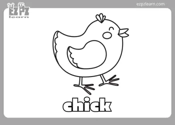 Chick Coloring Page